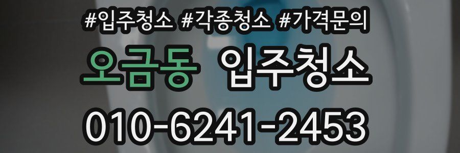 오금동 이사청소