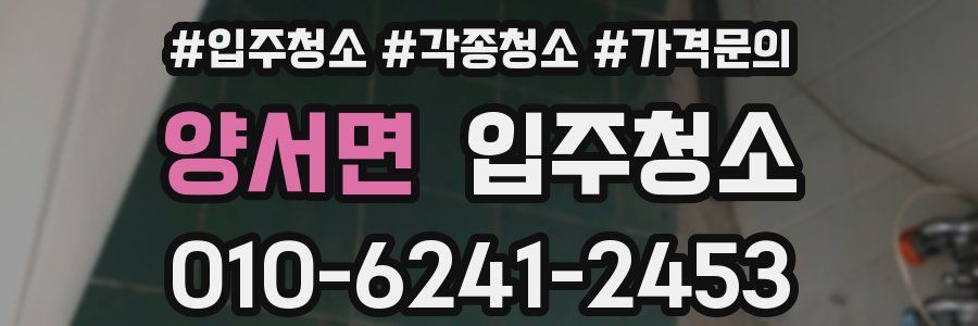 양서면 이사청소