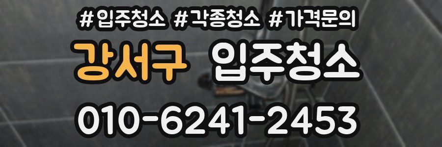 강서구 이사청소