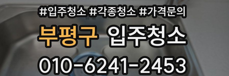 부평구 이사청소