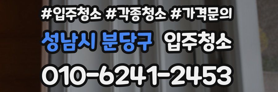 성남시 분당구 이사청소