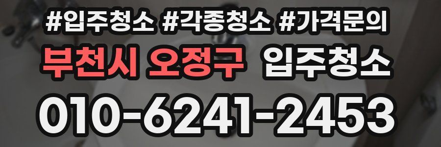 부천시 오정구 이사청소