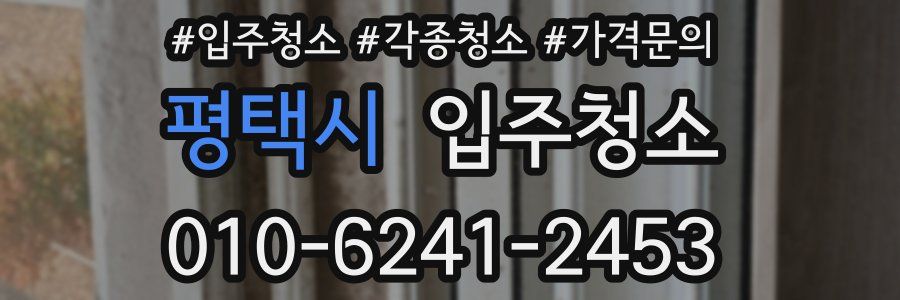 평택시 이사청소