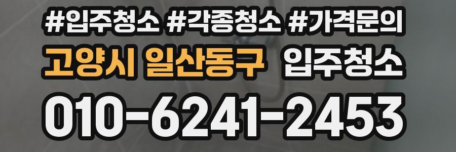 고양시 일산동구 이사청소