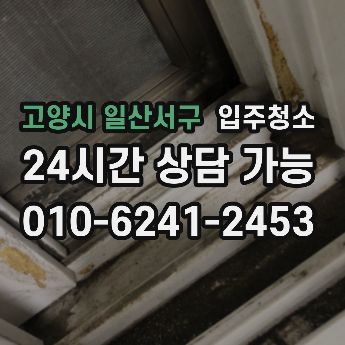 고양시 일산서구 원룸청소