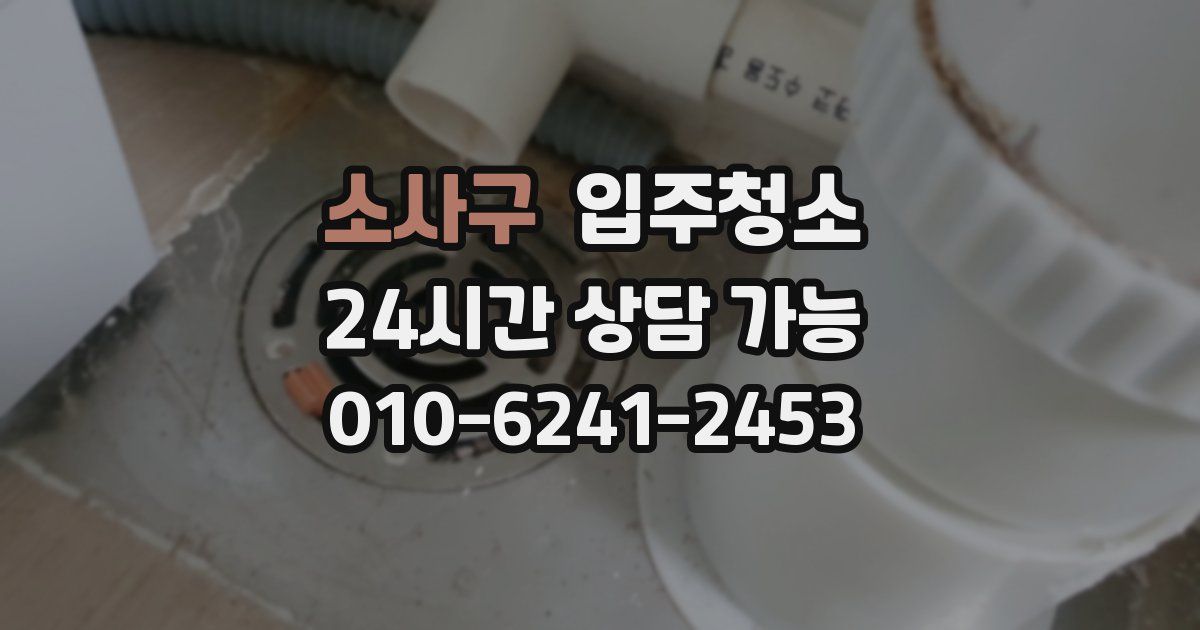 소사구 입주청소