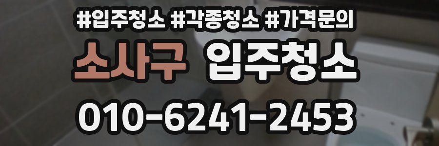 소사구 이사청소