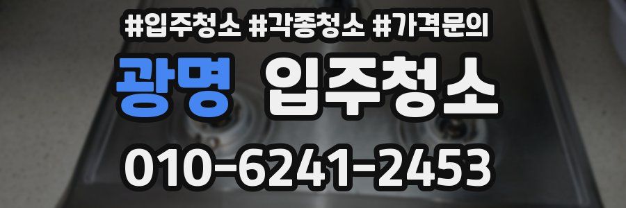 광명 이사청소