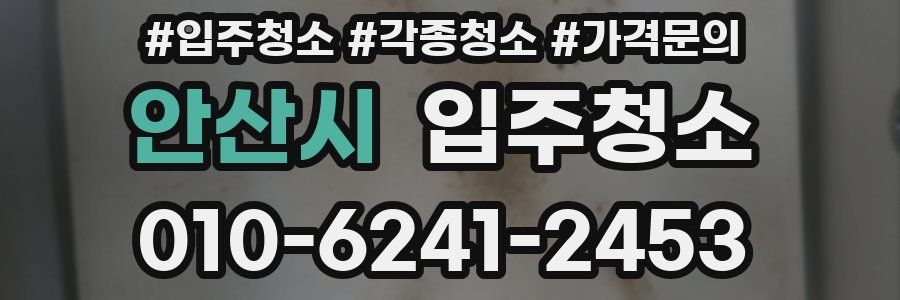 안산시 이사청소