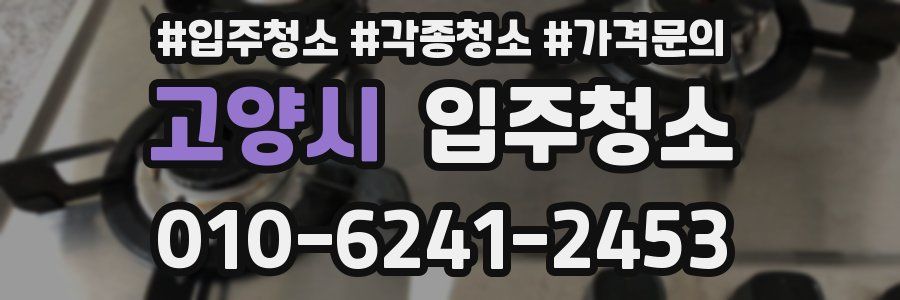 고양시 이사청소