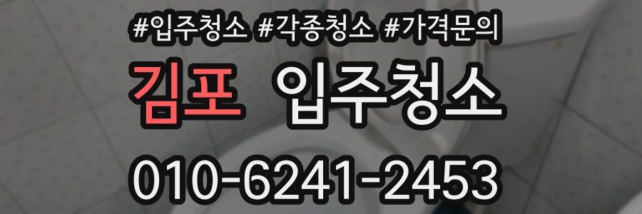 김포 이사청소