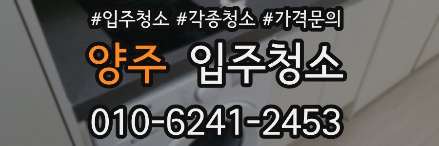 양주 이사청소