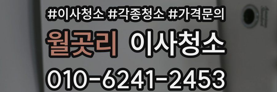 월곳리 이사청소