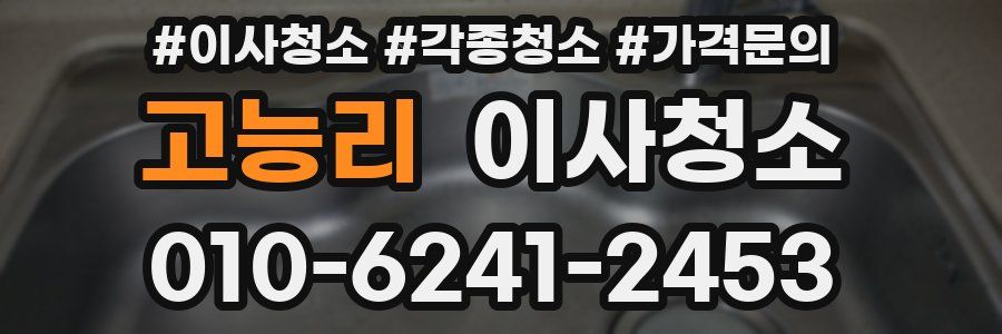 고능리 이사청소