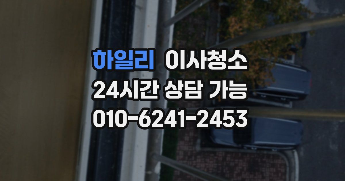 하일리 입주청소