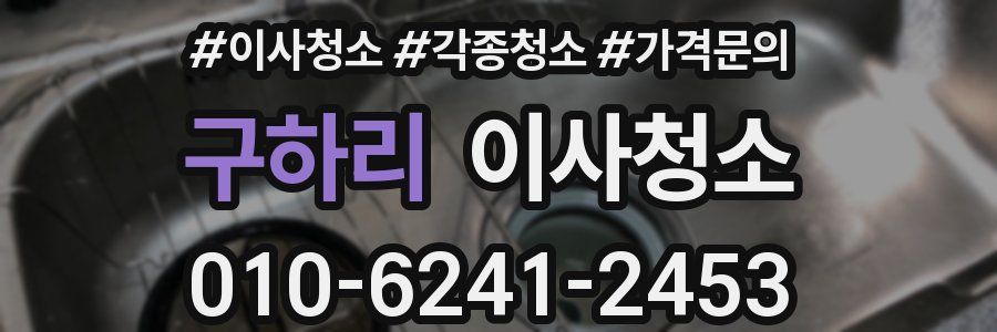 구하리 이사청소