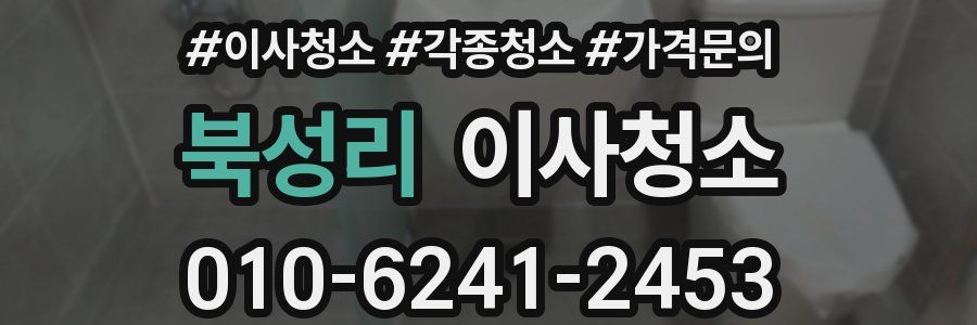 북성리 이사청소