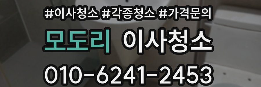 모도리 이사청소