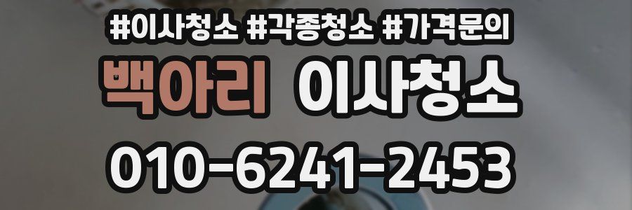 백아리 이사청소