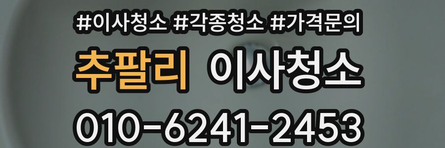 추팔리 이사청소