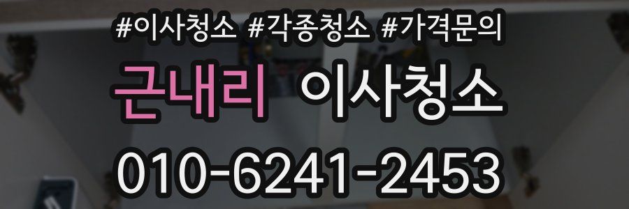 근내리 이사청소