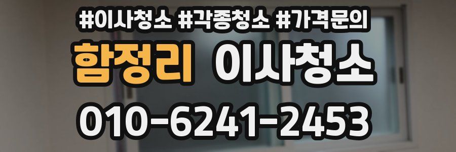 함정리 이사청소