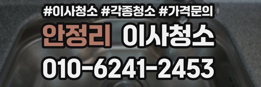 안정리 이사청소