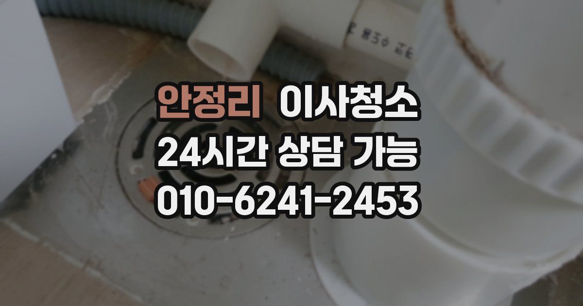 안정리 입주청소