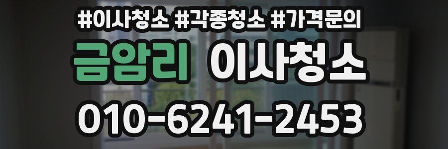 금암리 이사청소