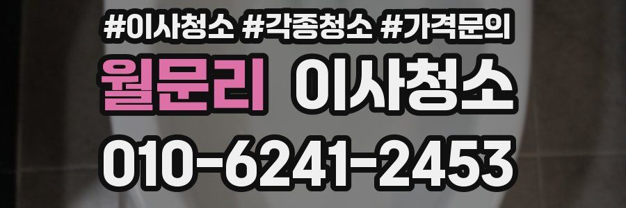 월문리 이사청소