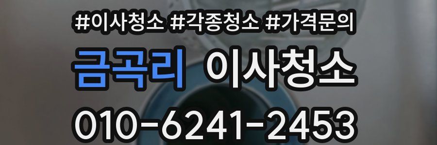 금곡리 이사청소