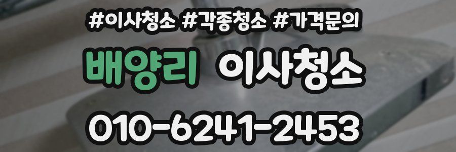 배양리 이사청소