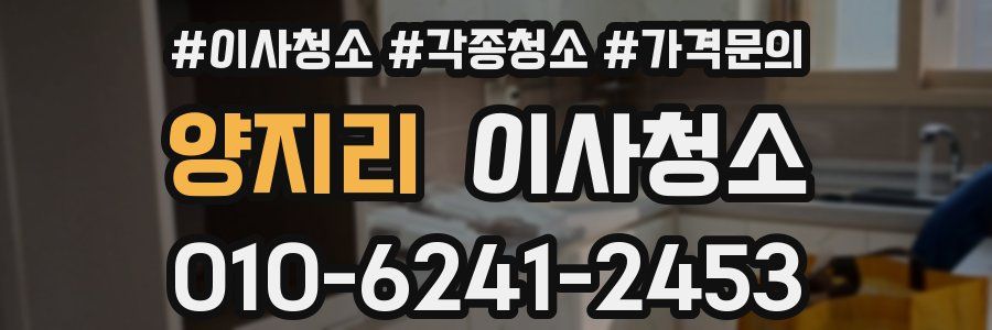 양지리 이사청소