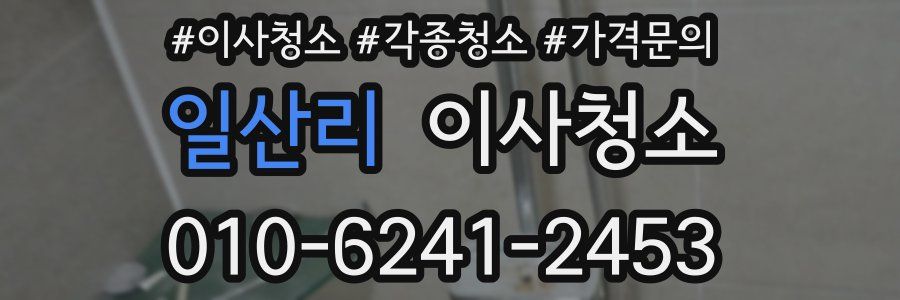 일산리 이사청소