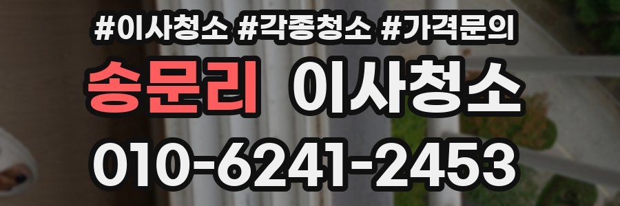 송문리 이사청소