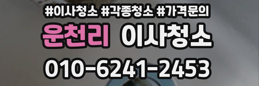 운천리 이사청소