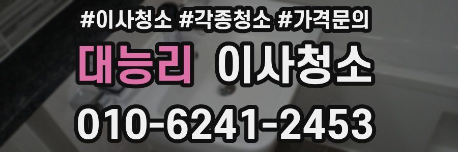 대능리 이사청소