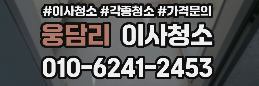 웅담리 이사청소