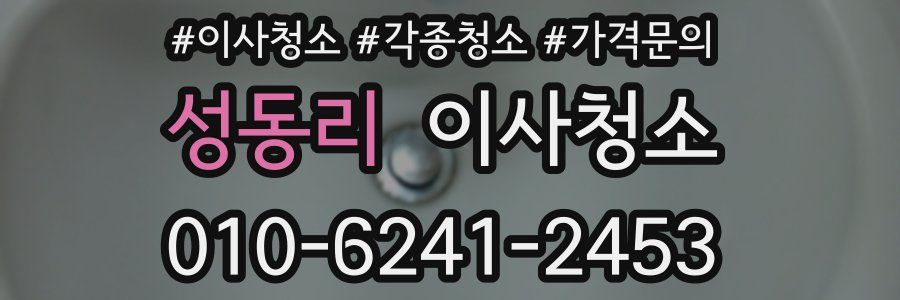 성동리 이사청소