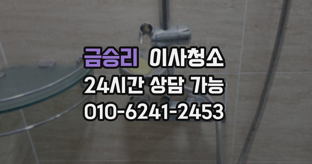 금승리 입주청소