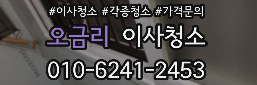 오금리 이사청소