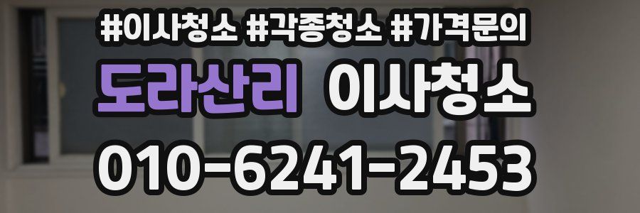 도라산리 이사청소