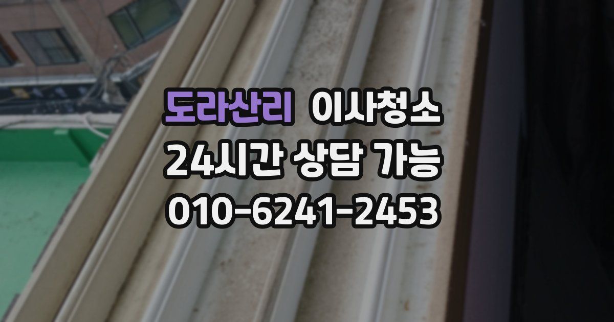 도라산리 입주청소