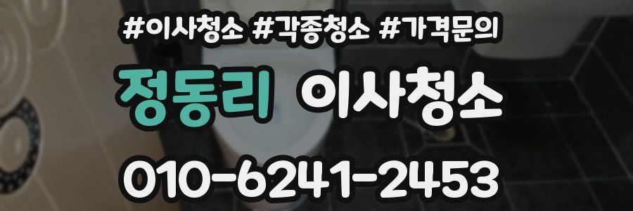 정동리 이사청소