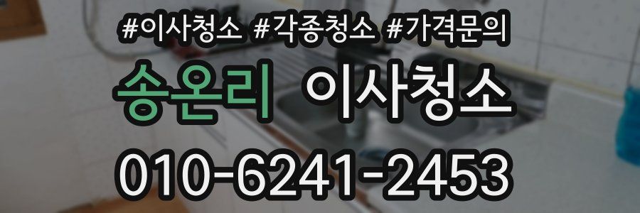 송온리 이사청소