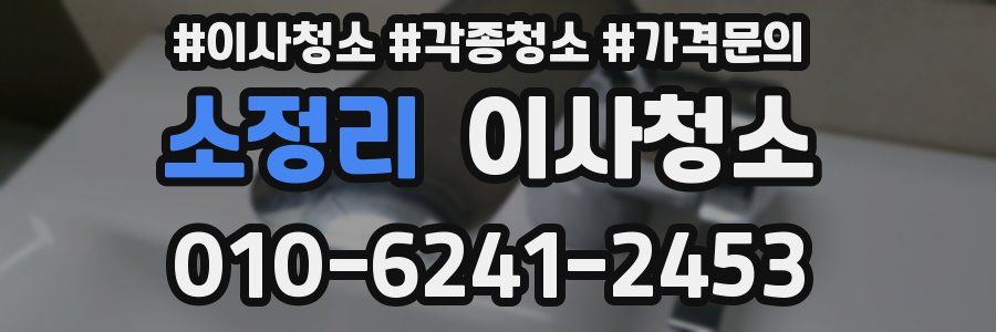 소정리 이사청소