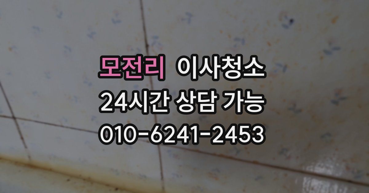 모전리 입주청소