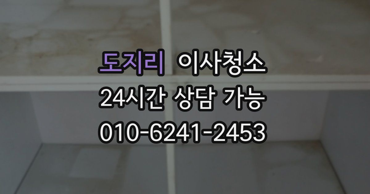 도지리 입주청소