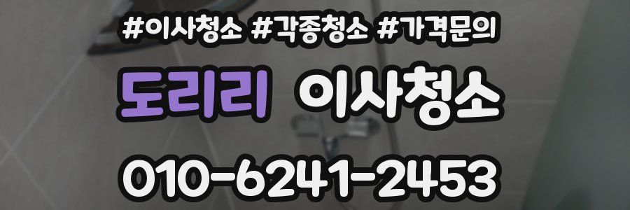 도리리 이사청소