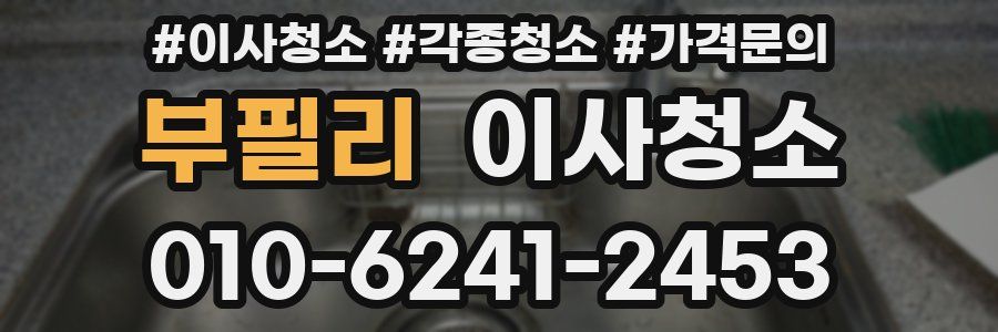 부필리 이사청소